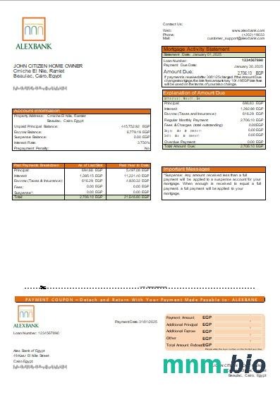 Egipt Bank Alex of Egypt wyciąg z kredytu hipotecznego szablon Word i PDF